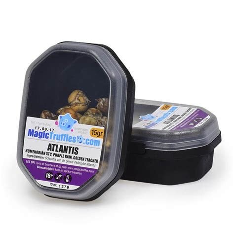 MAGIC TRUFFLES ATLANTIS